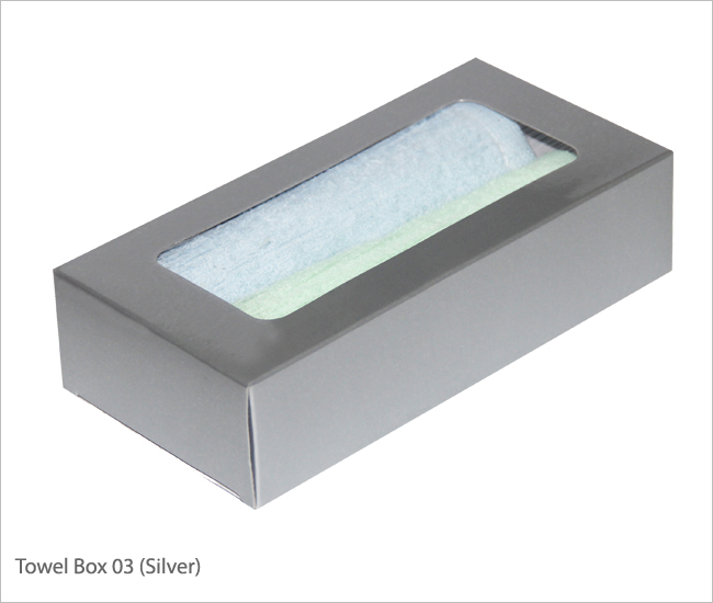 Towel Box 03 (Silver)